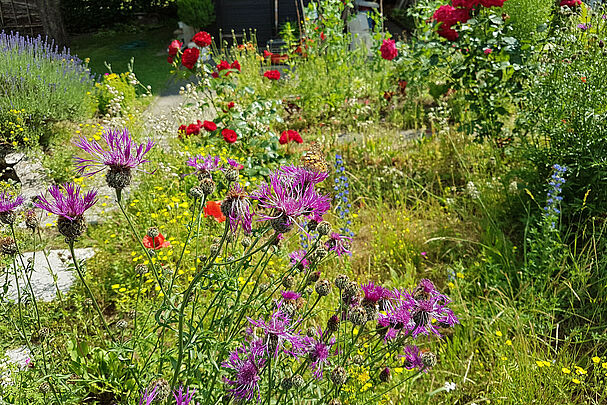 Naturnaher Garten (Foto: Arno Pfeifenberger)