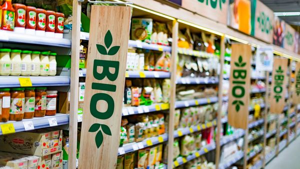 Discounter-Bio: Supermarkt-Regale mit Bio-Produkten.
