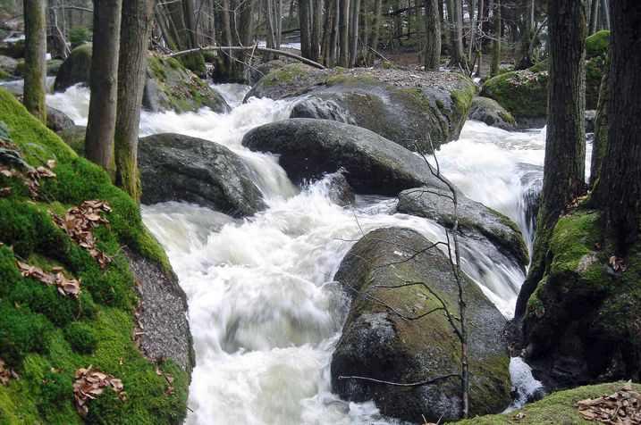 In der "Hölle" bei Brennberg im Vorderen Bayerischen Wald. Die starke Schneeschmelze im April 2006 ließ die Kraft der früheren Wassermassen erahnen (Foto: Peter Streck).