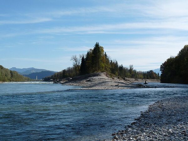 Kiesbänke am Zusammenfluss von Saalach und Salzach (Foto: Erich Prechtl)