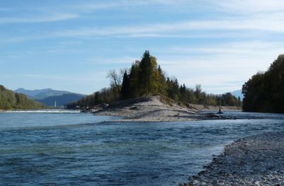 Kiesbänke am Zusammenfluss von Saalach und Salzach (Foto: Erich Prechtl)