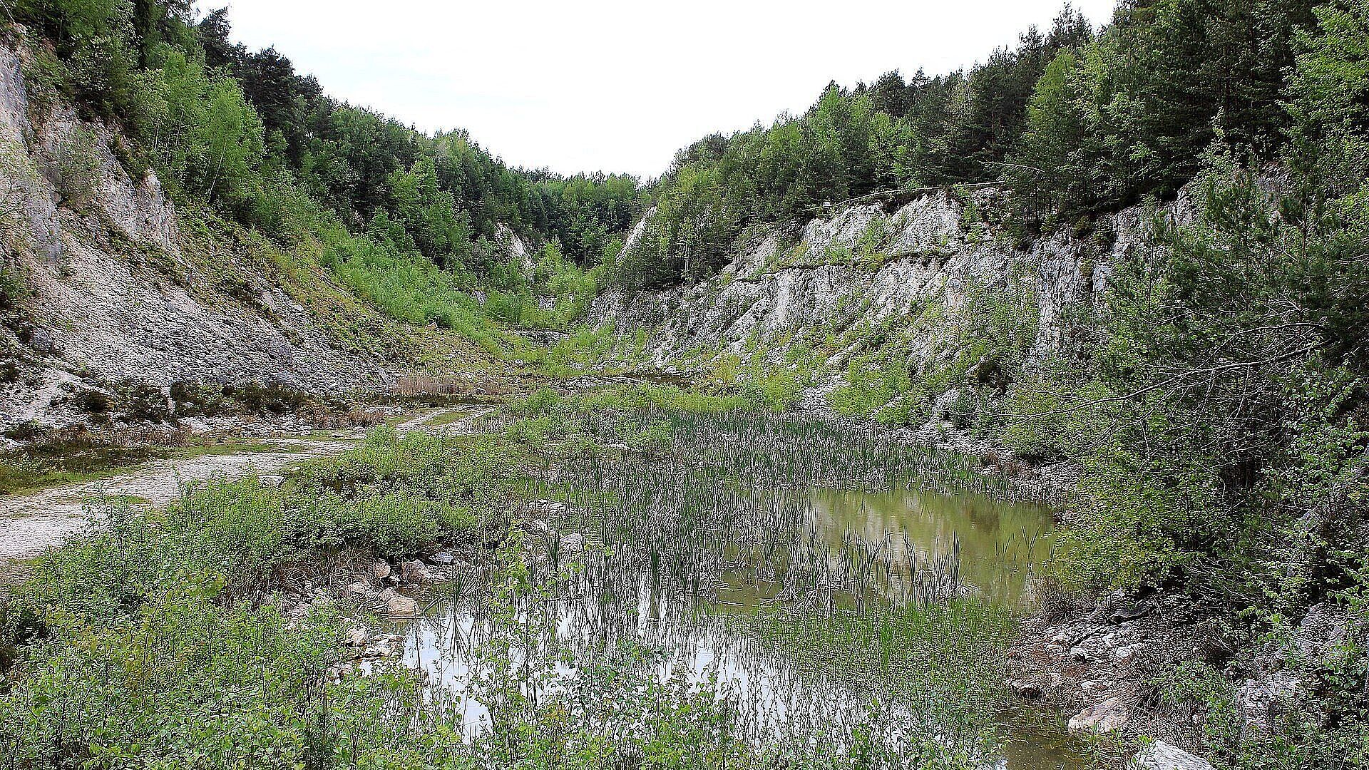 Steinbruch beim Großen Pfahl (Foto: Rosa-Maria Rinkl/commons.wikimedia.org) Steinbruch beim Großen Pfahl, zwischen Felswänden liegt ein Gewässer, in dem Schilf wächst.