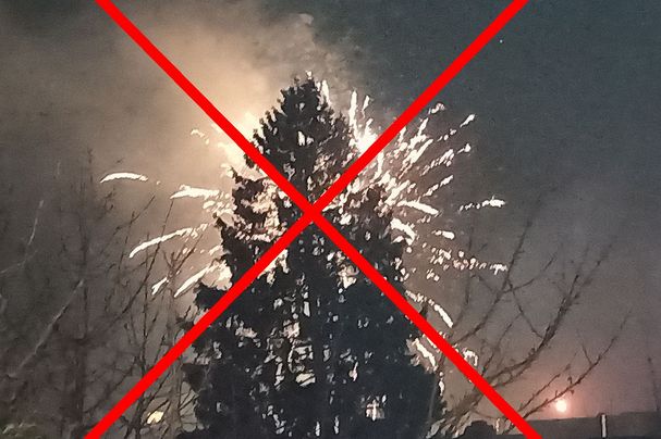 Foto: A. Nunn - BN KG Regensburg