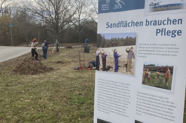 Biotoppflege Fürth Sandachse BUND Naturschutz
