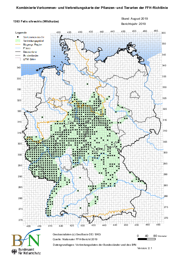 Wildkatze Verbreitung in Deutschland: Die Karte zeigt mit schwarzen Punkten, wo Vorkommen der Wildkatze nachgewiesen wurden, grün sind die Flächen ihres Verbreitungsgebiets. (Grafik: Bundesamt für Naturschutz (BfN) Stand 2019)