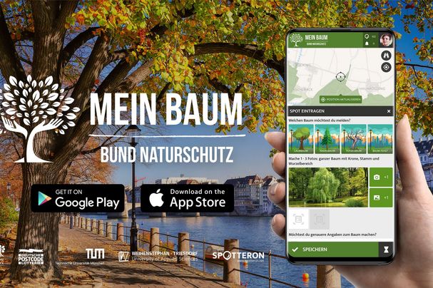 Mein Baum; App by Spotteron