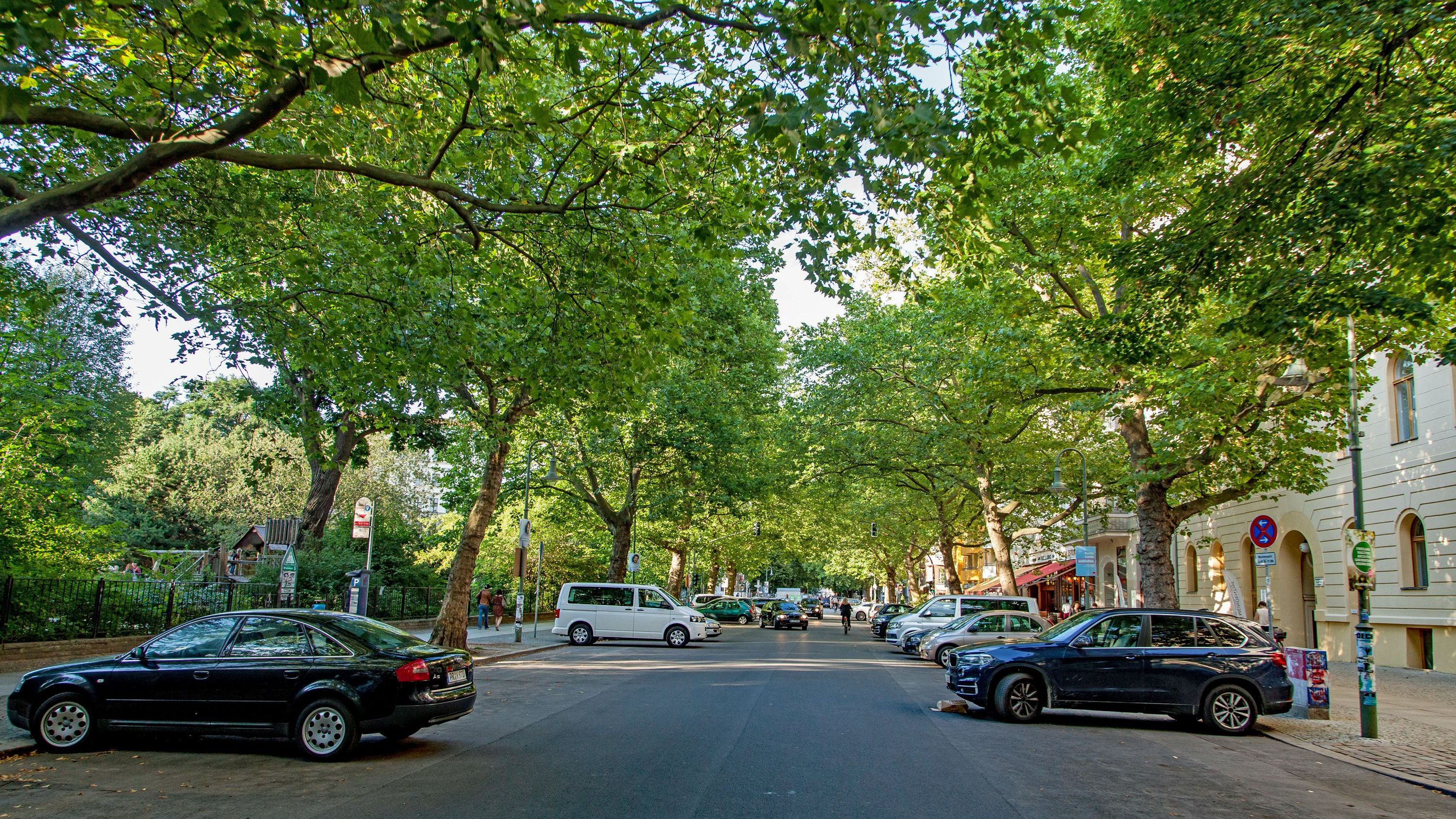 Bäume sind Infrastruktur für ein gesundes Stadtklima: Sie spenden Schatten, kühlen ihre Umgebung, filtern Luftschadstoffe und dämpfen den Verkehrslärm (Foto: Michael/stock.adobe.com). Stadtnatur und Gesundheit: Bäume beschatten eine städtische Straße.