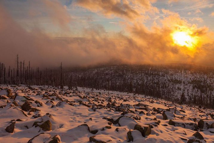 Quo vadis, Nationalpark? Um die entstehende Wildnis und die Ausrichtung des Parks gab es jahrzehntelang heftige Diskussionen (Foto: Rainer Simonis/Nationalparkverwaltung Bayerischer Wald).