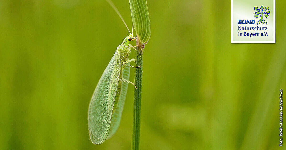 www.bund-naturschutz.de