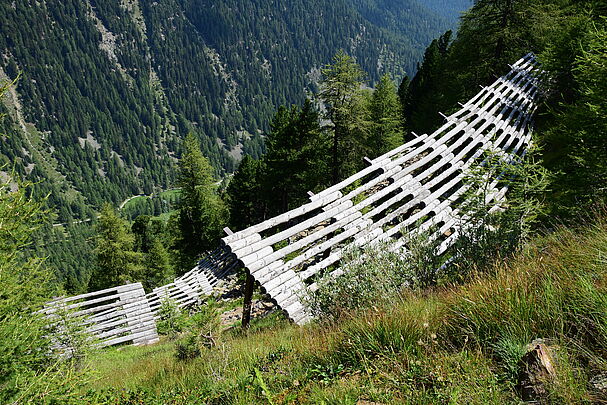 Ein gesunder Bergwald funktioniert als bester Lawinenschutz – wo er fehlt, muss wie hier im Bild in teure Lawinenverbauung investiert werden. (Foto: Zeitgugga6897/AdobeStock)