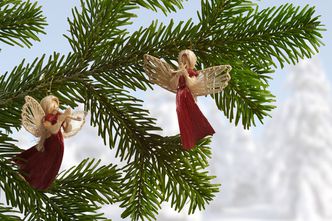 Weihnachtsbaum Artusius Fotolia 17349877 Web