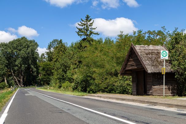 Bushaltestelle als Holzhäuschen auf dem Land an einer verlassenen Straße: Der ÖPNV muss für die Verkehrswende attraktiver werden (Bild: tim linde Eye EM/stock.adobe.com)