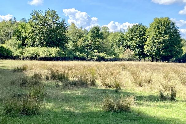 Moorenbrunnfeld (Foto: Hiltrud Gödelmann)