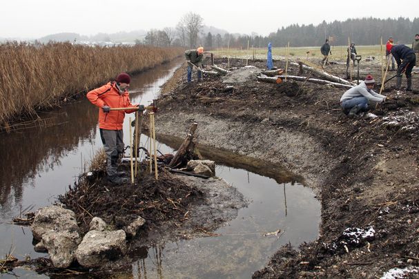 Ein Mann schlägt Pfähle ein