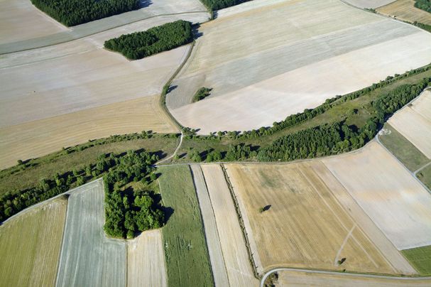 Das Grüne Band zieht sich als grüner teils bewaldeter Streifen zwischen braunen und grünen Feldern hindurch. (Foto: Klaus Leidorf)