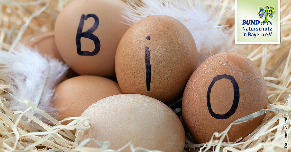Haltungsform Huhn beachten  Bio-Eier kaufen | BUND Naturschutz (BN)
