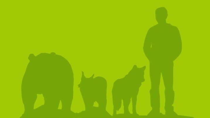 Gestaltung: springerf3.de