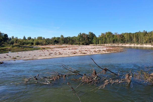 Kiesinsel in der Isar. Foto: Christian Thurmaier