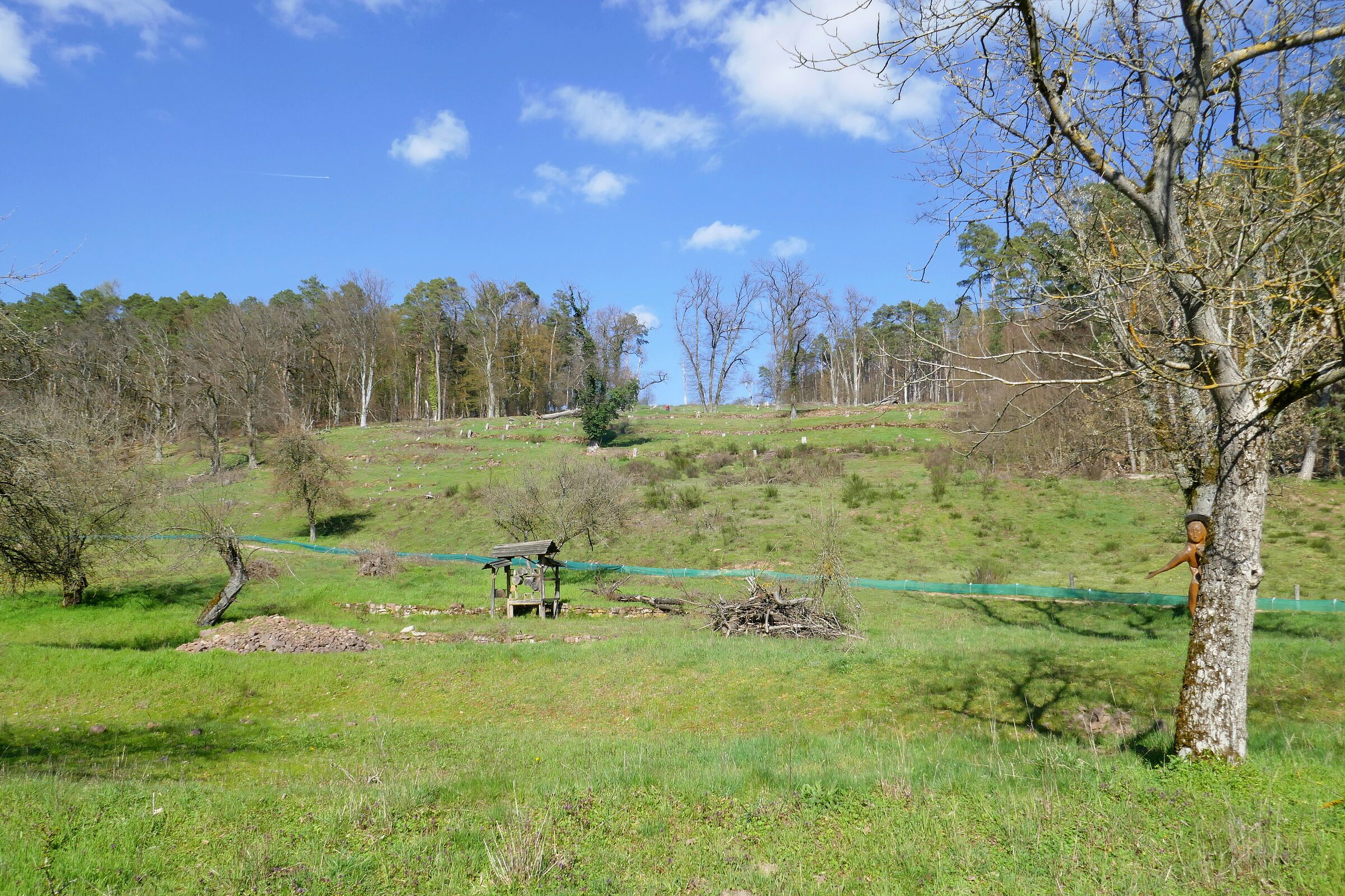 Blick auf einen von Obstbäumen und Büschen durchsetzten Bergwiesenhang bei Romberg bei Lohr (Foto: Winfried Berner)