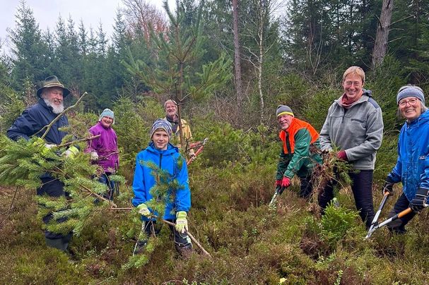 Foto: R. Pahl - Moorentbuschung Pavolding 2025 Menschen entbuschen das Moor