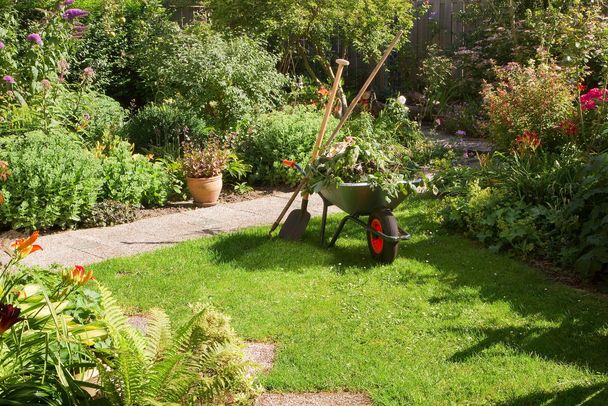 Naturgarten anlegen und natürlich gärtnern: Eine Schubkarre steht in einem Naturkarren mit vielen verschiedenen Blumen und Stauden.