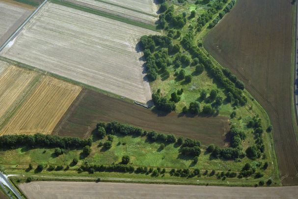 Das Grüne Band zieht sich mit Wiesen, Bäumen und Hecken durch eine ausgeräumte Agrarlandschaft. (Foto: Klaus Leidorf)