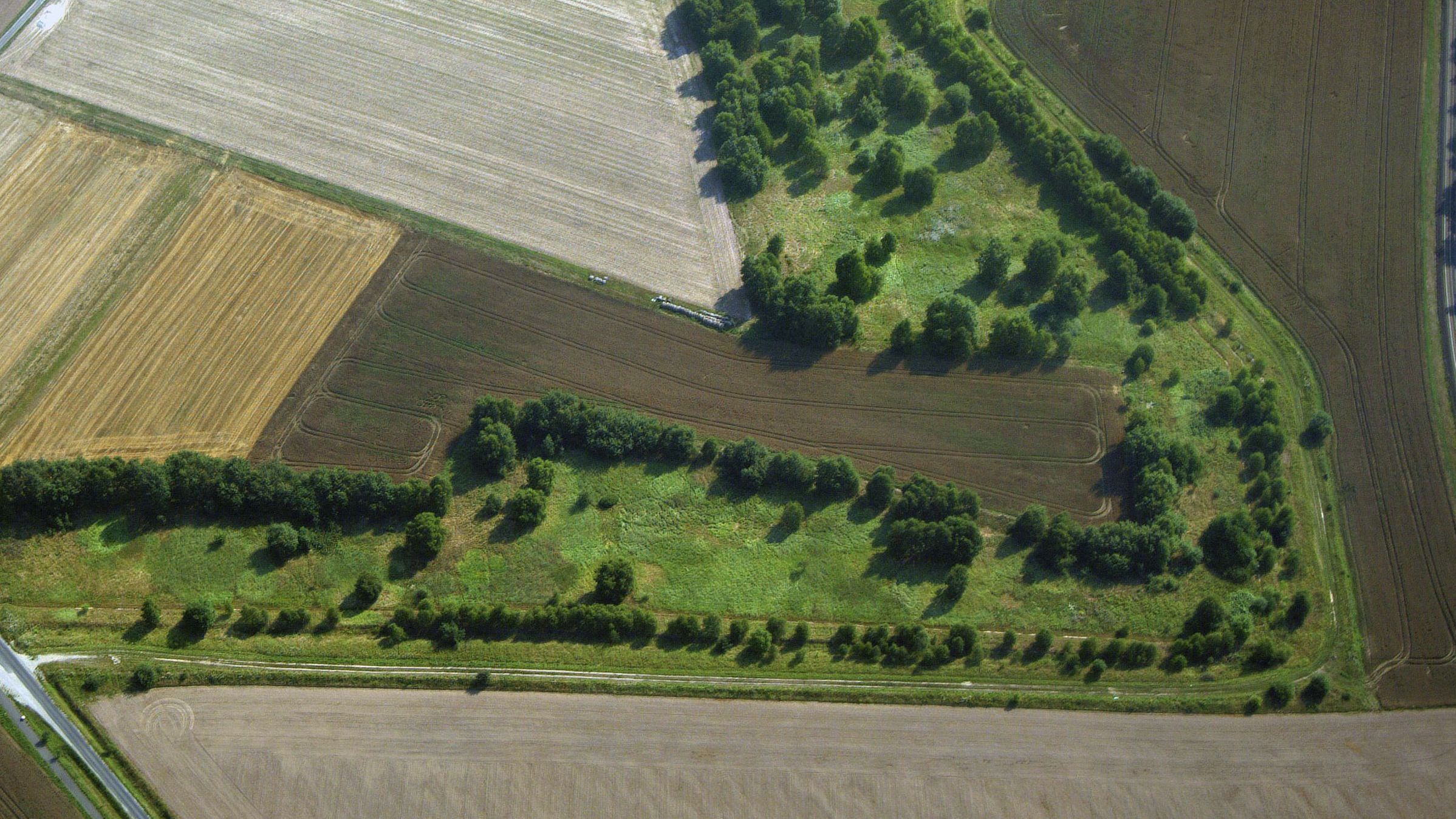 Das Grüne Band zieht sich mit Wiesen, Bäumen und Hecken durch eine ausgeräumte Agrarlandschaft. (Foto: Klaus Leidorf)