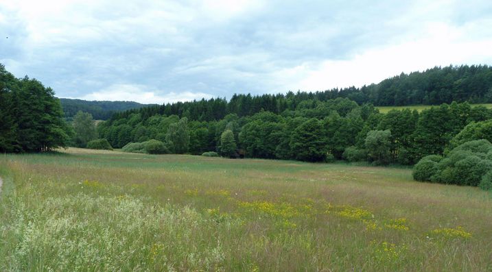 Landschaft im Püttlachtal (Foto: Winfried Berner)