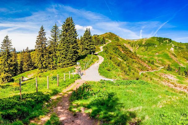 Riedberger Horn (Foto: NatureQualityPicture - stock.adobe.com) Blick auf den unverbauten Gipfel Riedberger Horn. (Foto: frankthoma/AdobeStock)
