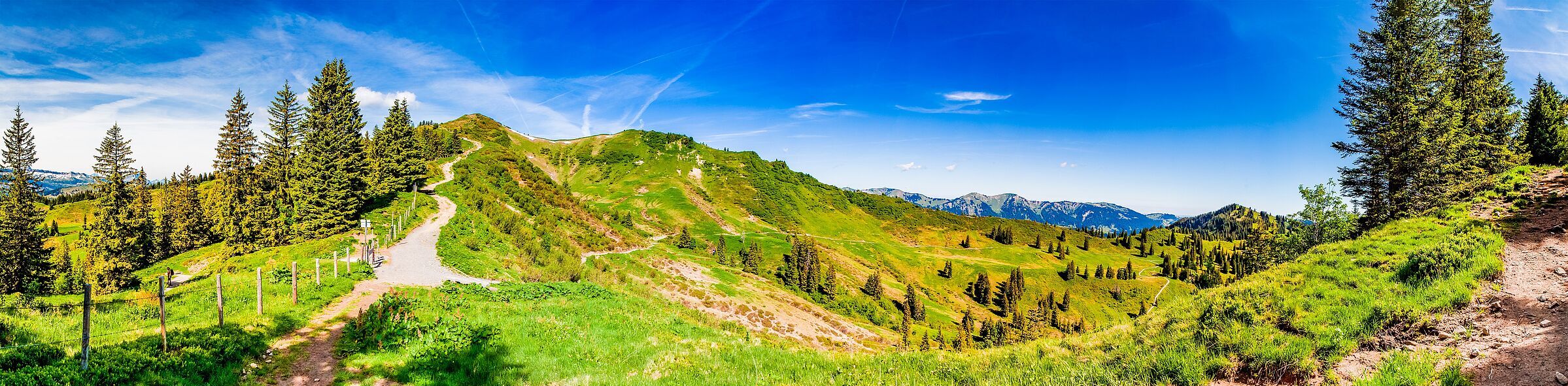 Blick auf den unverbauten Gipfel Riedberger Horn. (Foto: frankthoma/AdobeStock)