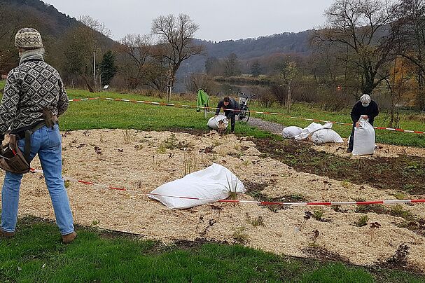 Lebendige Gärten Marktheidenfeld, Ausbringen von Mulch, Foto Conni Schlosser