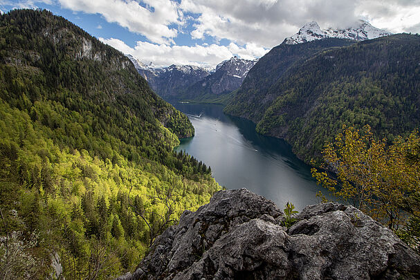 Königssee (Foto: Sonja Kreil)