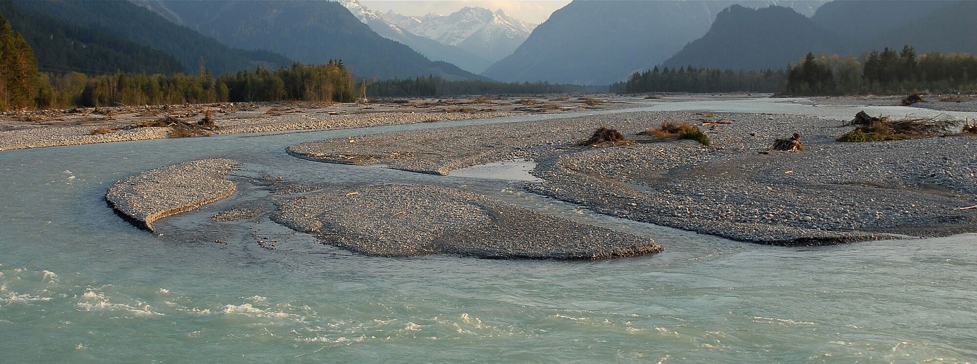 In Tirol darf der Lech noch zeigen, wie schön ein Alpenfluss ist. (Foto: Eberhard Pfeuffer) Ein Fluss mit gletscherblauem Wasser dehnt sich zwischen zahlreichen Sanbänken aus. An den Rändern wächst Wald, im Hintergrund Berge.