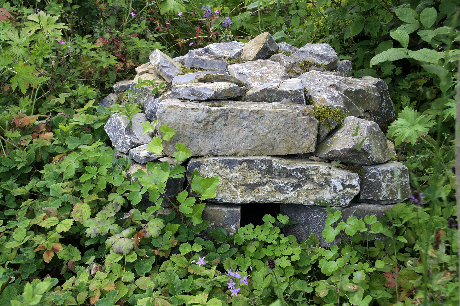 Igelhaus im Garten selbst bauen