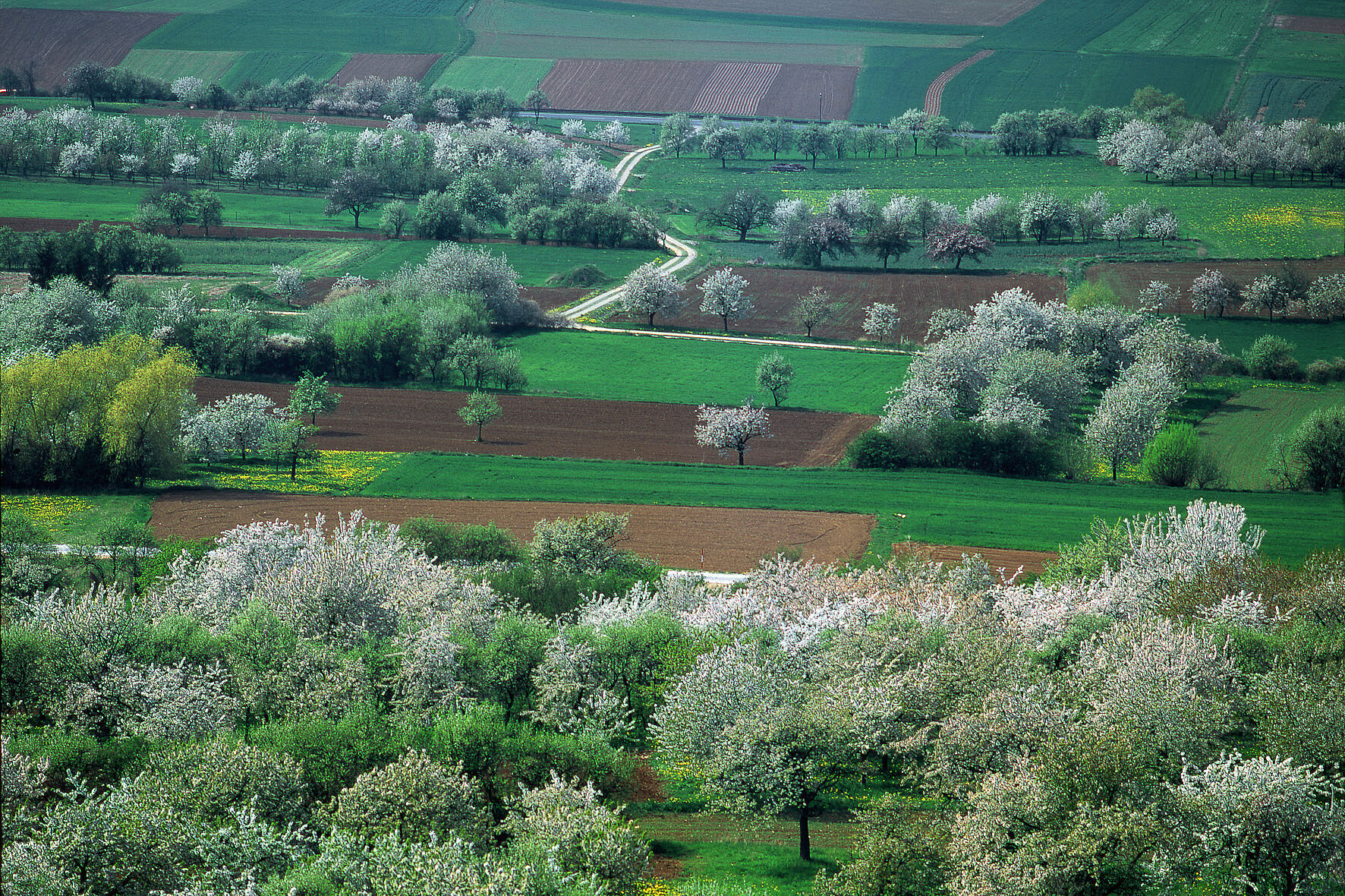 Artenvielfalt und Landwirtschaft: Artenverlust beenden!