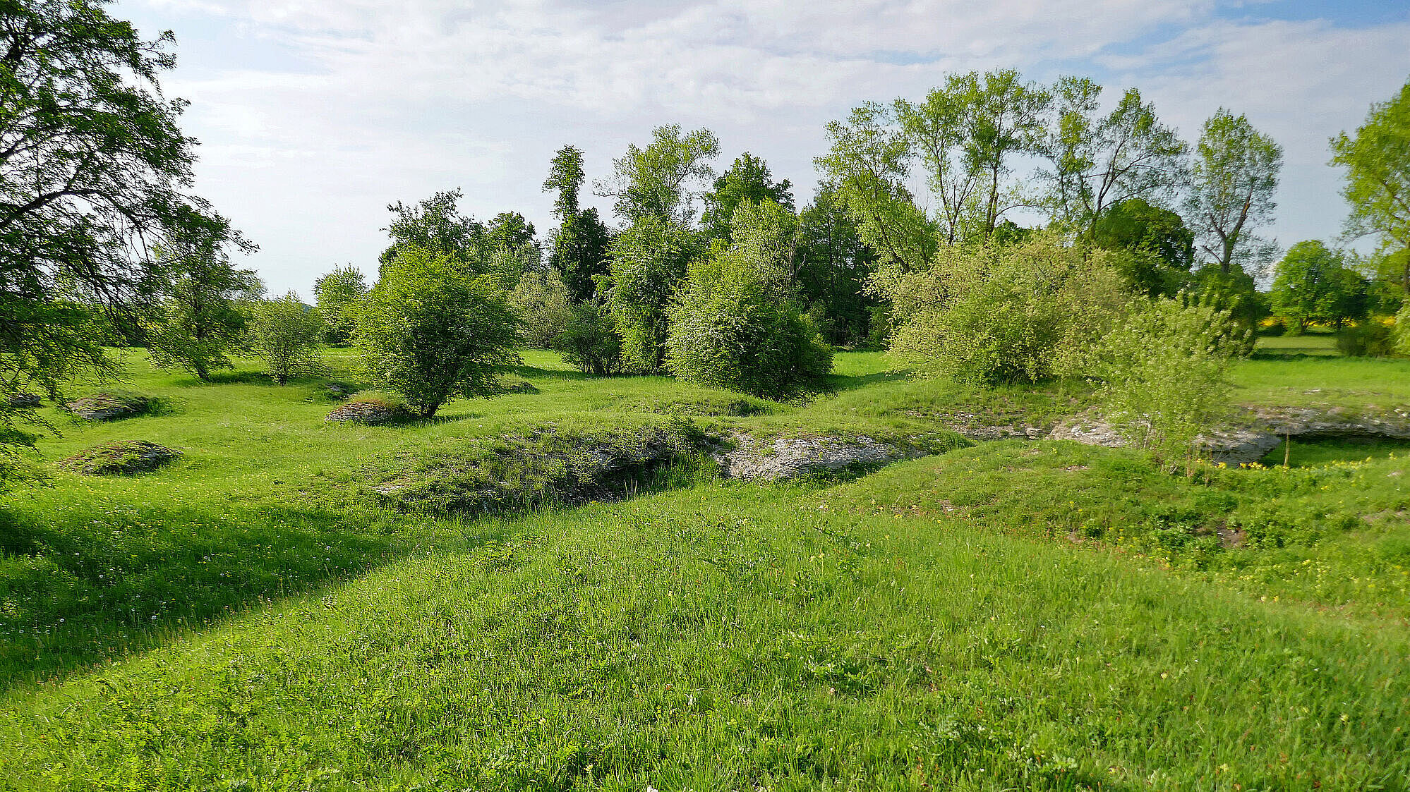 Gerettete Landschaft: die Sulzheimer Gipshügel (Foto: Winfried Berner) Kleine, mit Gras bewachsene Gipshügel sind locker von Büschen und Bäumen bestanden.