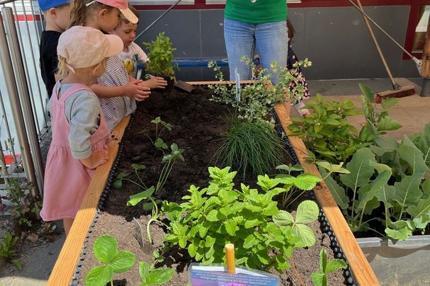 Pflanzaktion Kindergarten St. Martin Zorneding Juni 2025