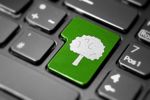 Fotolia Baum-Taste schnubi 38673726 web