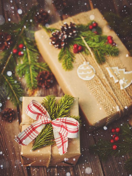 Ökologische Geschenke zu Weihnachten BUND Naturschutz