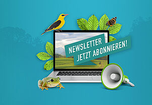 Newsletter: für alle, die es genau wissen wollen!