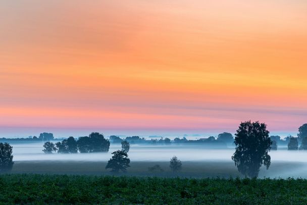 Blick über ein Moor – das Donaumoos – im Nebel bei Sonnenaufgang