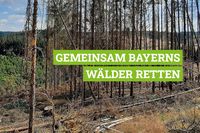 Hier spenden für den Waldschutz