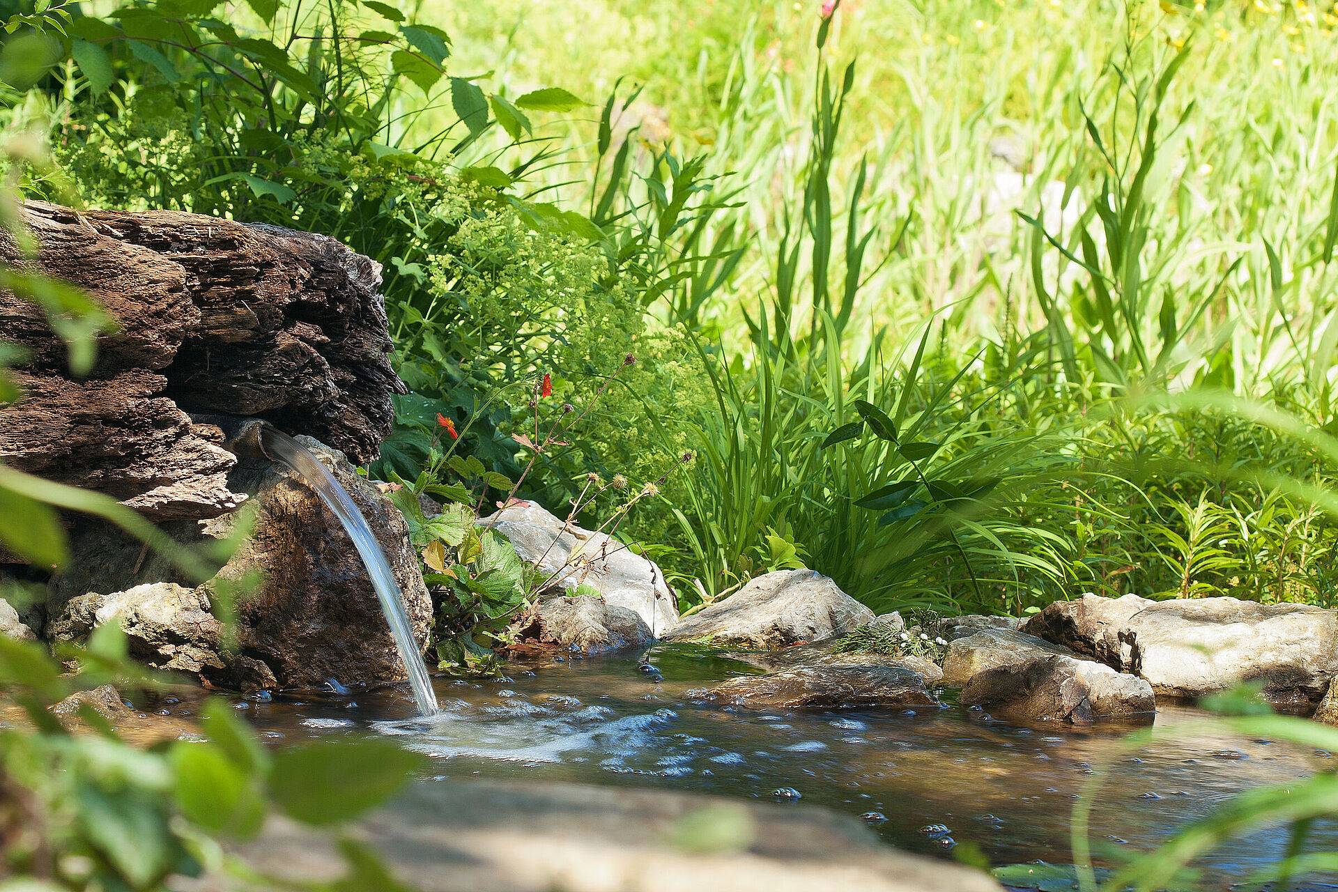 Ökologischer Gartenteich BUND Naturschutz (BN)