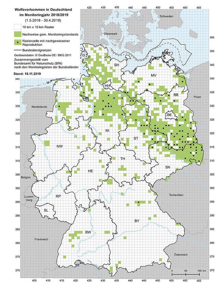 Der Wolf in Bayern – BUND Naturschutz
