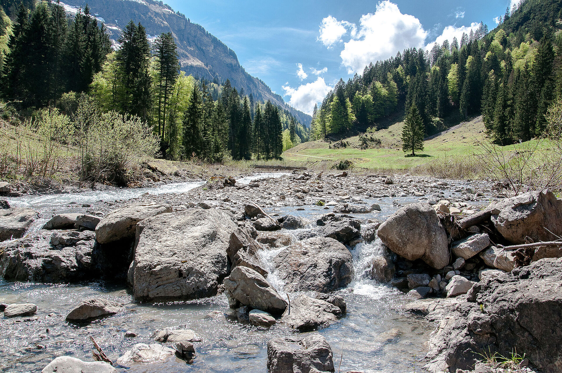 Naturjuwele Iller-Quellbäche bewahren! - BUND Naturschutz in Bayern e.V.