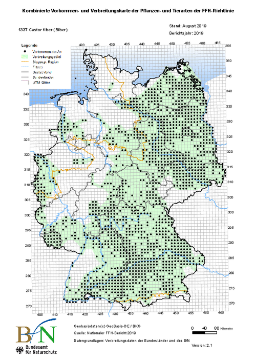 Europäischer Biber: Verbreitung und Rückkehr | BUND Naturschutz Europäischer Biber: Verbreitung und Rückkehr | BUND Naturschutz