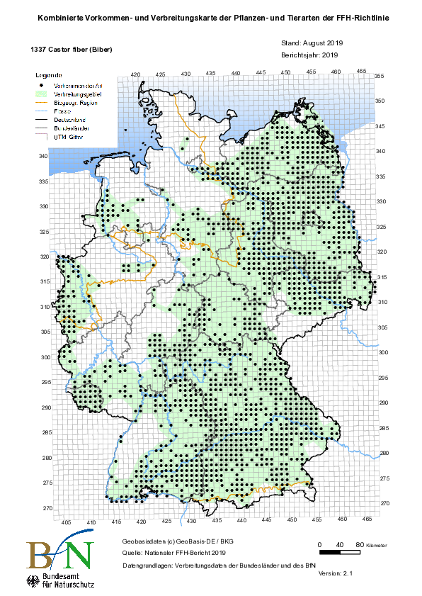 Rasterkarte zur aktuellen Verbreitung des Bibers in Deutschland (Quelle: Bundesamt für Naturschutz)