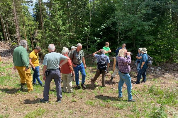 Artenschutz Grünes Band Bund Naturschutz