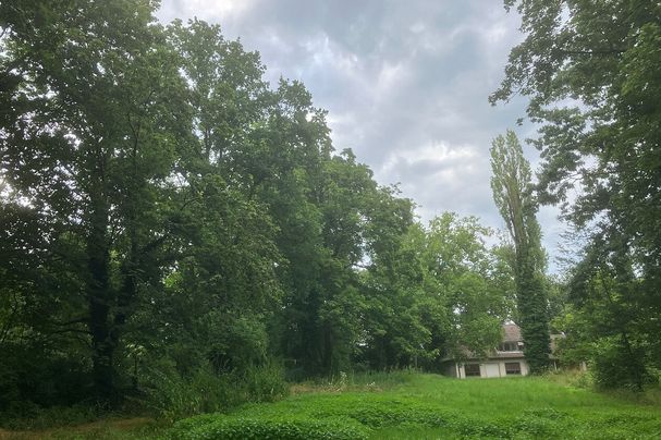 Hirschmann Park Fürth