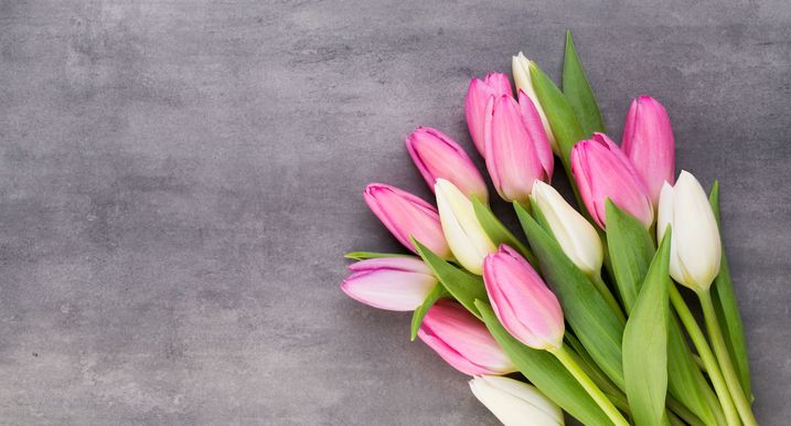 Tulpen sind besser als Rosen, weil sie kaum Pestizidrückstände aufweisen und in MItteleuropa wachsen (Foto: gitusik/fotolia.com).